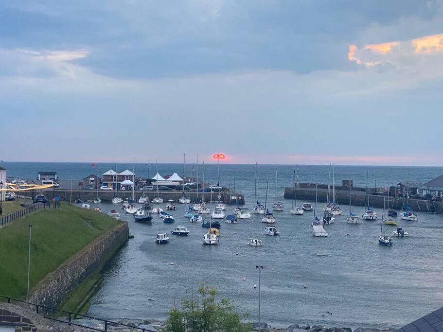 Aberaeron Island House - Panoramic Harbour Views Villa Exterior photo